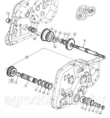 Шестерня Z11921