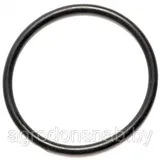 Кольцо резиновое R520928